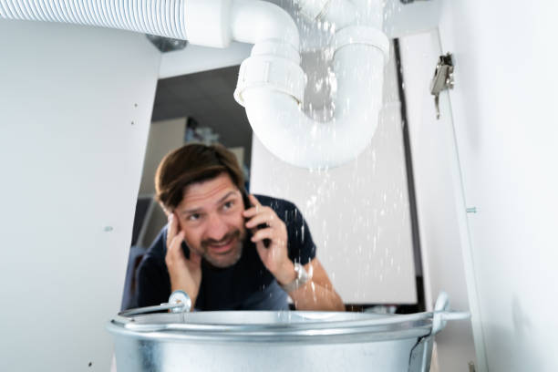 Best Shower Repair Services  in Nellieburg, MS